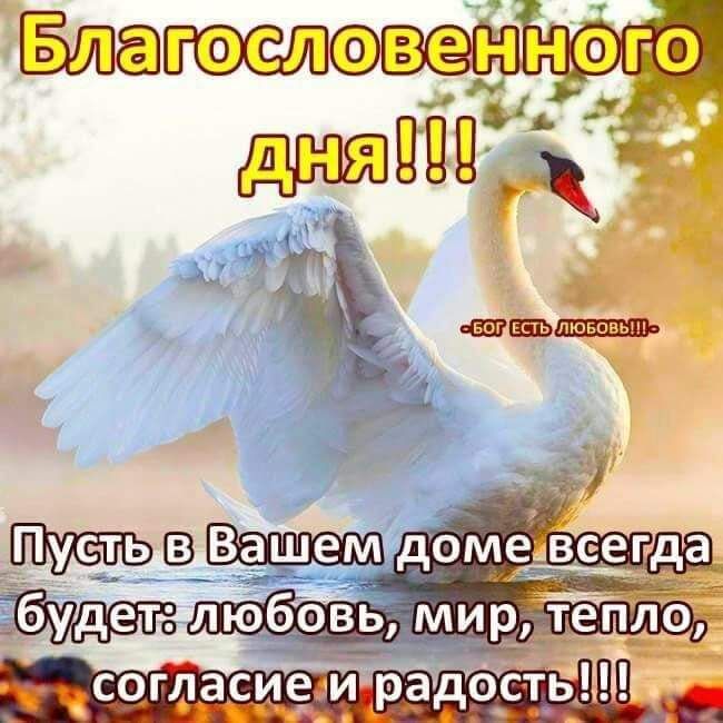 Епь пювовьщ