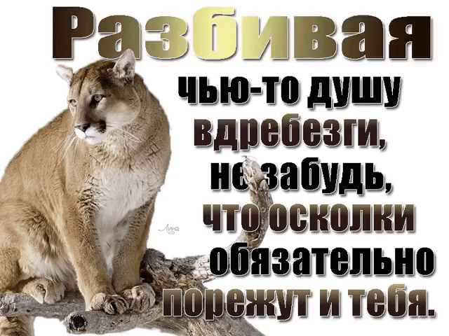 шщащ ШЬШЧШШ ШШЩШ БЩЩЪШБЗШ