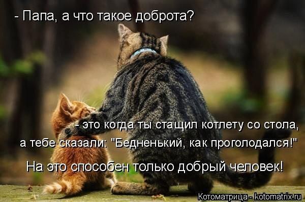 Папа а что такое доброта _ таЩип кдгпету со стола 2 Те енький как прогоподапся осо опько добрыйтчёшвве ъ тах ГЦ