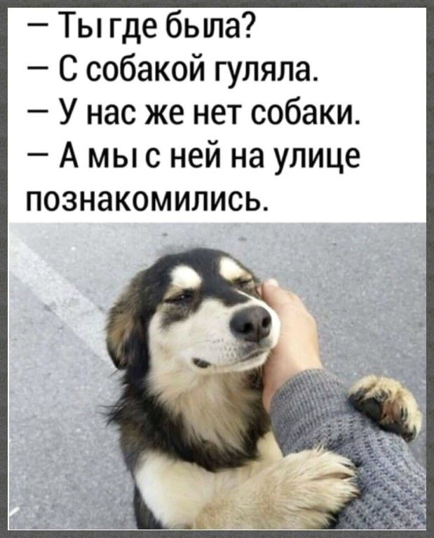 Ты где была С собакой гуляла У нас же нет собаки А мыс ней на улице познакомились