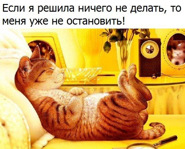 Если я решила ничего не делать то меня уже не остановить