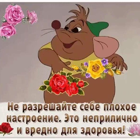 Не разрешайте себе плохое настроение Это неприлично и вредно для здаурэвьяд 34