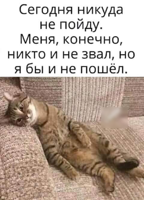 Сегодня никуда не пойду Меня конечно никто и не звал но я бы и не пошёл