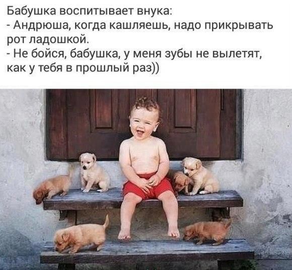 Бабушка воспитывает внука Андрюша когда кашляешь надо прикрывать рот ладошкой Не бойся бабушка у меня зубы не вылетят как у тебя в прошлый раз