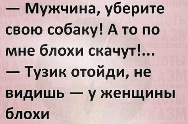 Мужчина уберите свою собаку А то по мне блохи скачут Тузик отойди не видишь у женщины блохи