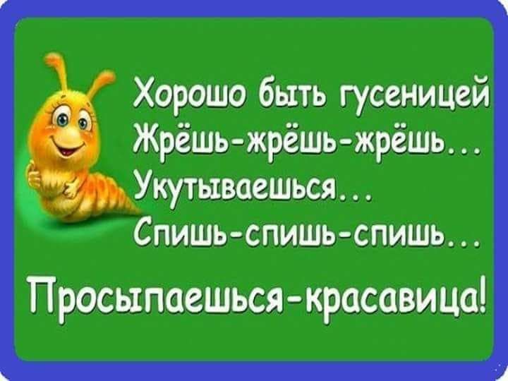 1ЪСП СМ Ппаи