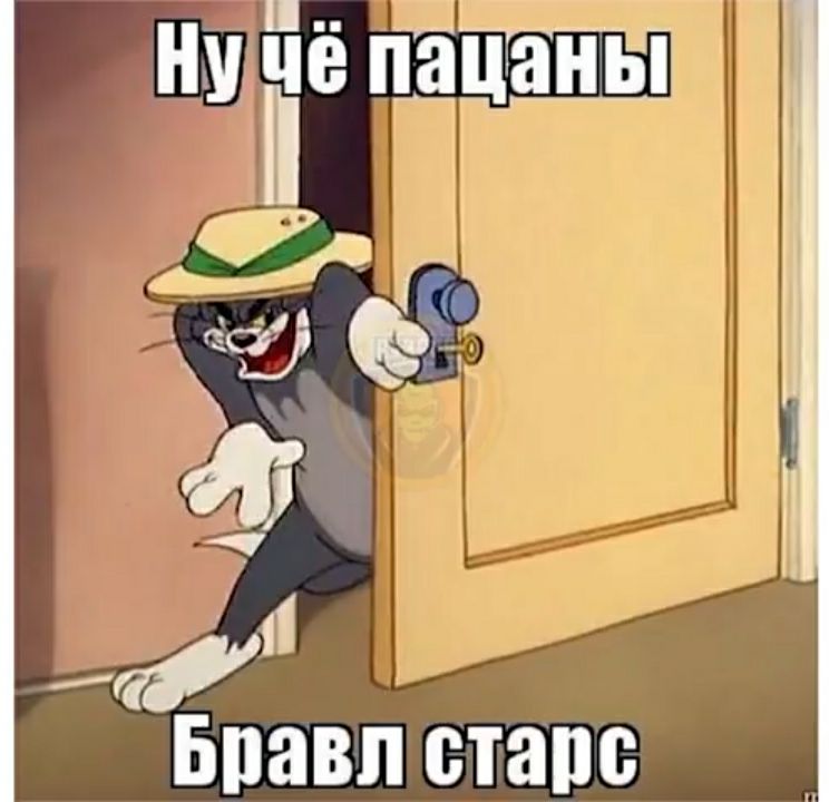 БПЗВЛ стапс