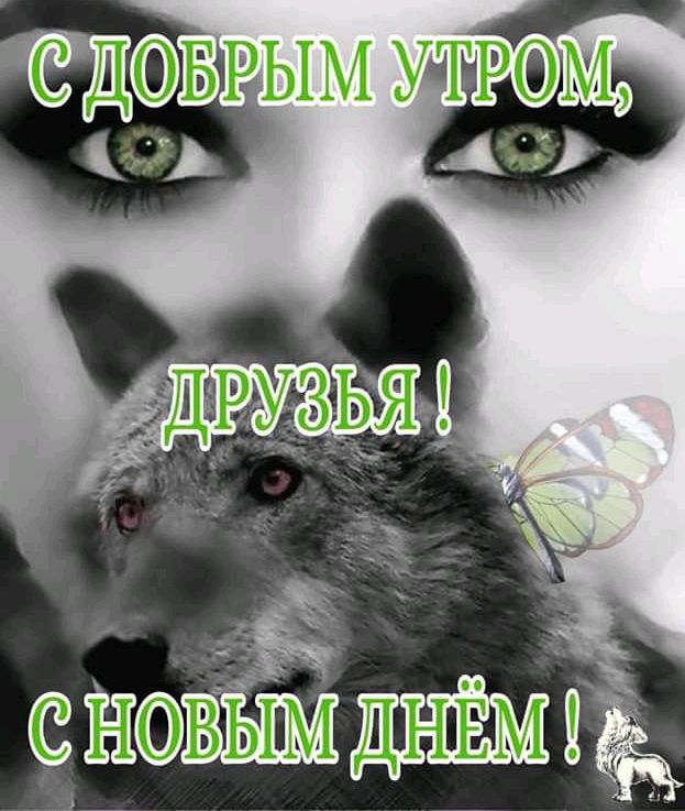 ш