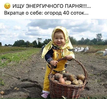 О ИЩУ ЭНЕРГИЧНОГО ПАРНЯ Вкратце себе огород 40 СОТО