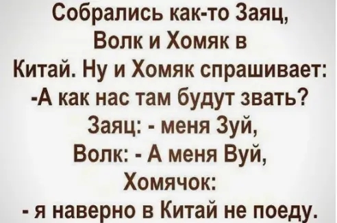 Собрались как то Заяц Волк и Хомяк в Китай Ну и Хомяк спрашивает А как нас там будут звать Заяц меня Зуй Волк А меня Вуй Хомячок я наверно в Китай не поеду