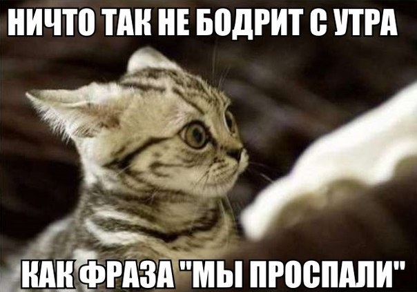 ничто ТАН БПДРИТ ПРА С МЁФРАЗПЩМЫ ПРЩБШШИ