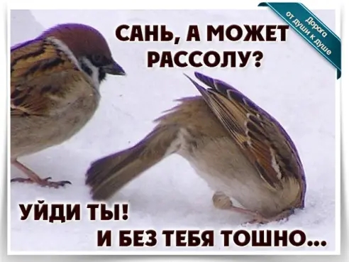 синь АМОЖЕ рпссолуэ уйди ты и 53 тввя тошно