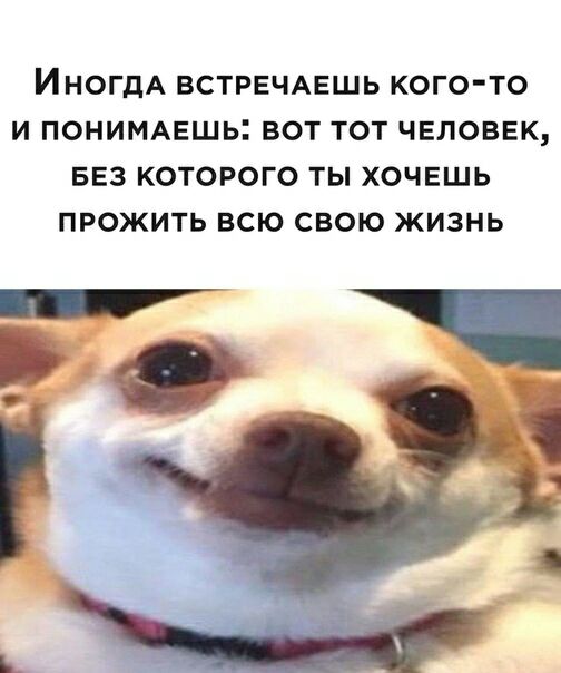 ИНОГДА ВСТРЕЧАЕЩЬ КОГО ТО И ПОНИМАЕШЬ ВОТ ТОТ ЧЕЛОВЕК БЕЗ КОТОРОГО ТЫ ХОЧЕШЬ ПРОЖИТЬ ВСЮ СВОЮ ЖИЗНЬ О