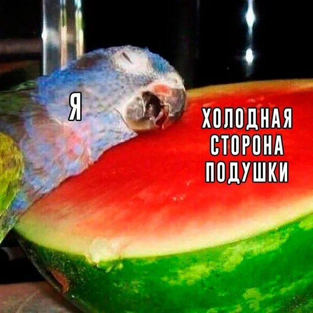 ЁЁ хпппдндя стпрпнд подушки