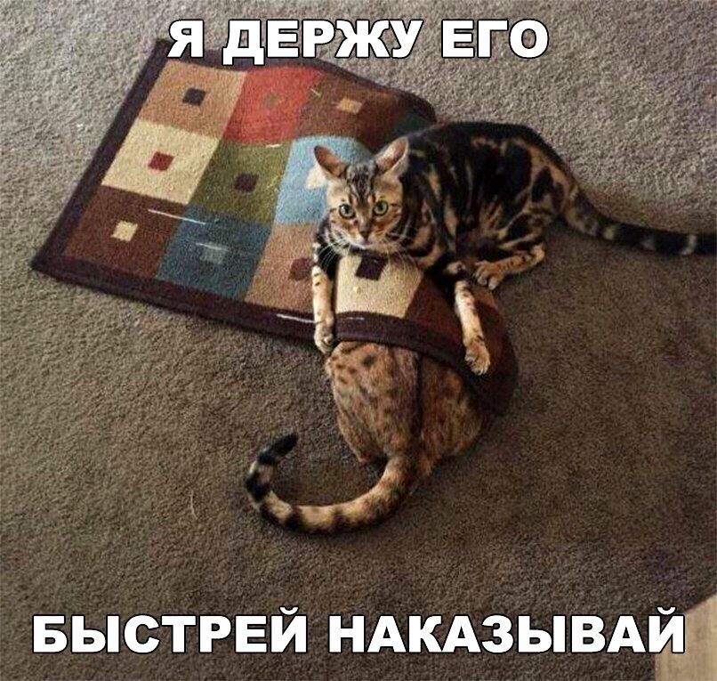 БЫСТРЕЙ НАКАЗЫВАЁ