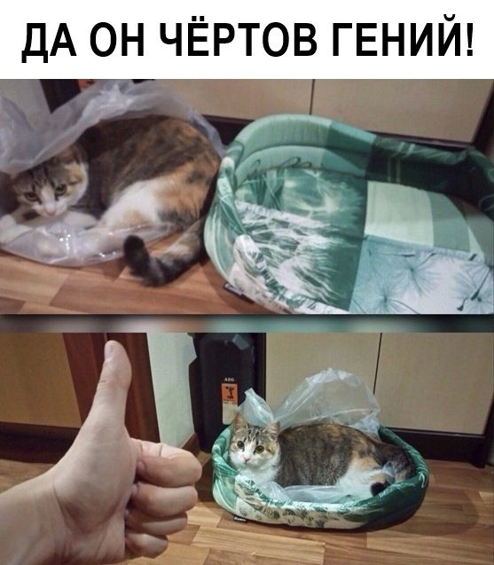 ДА ОН ЧЁРТОВ ГЕНИЙ