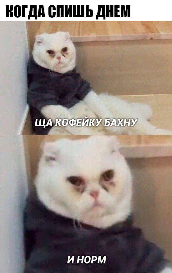 НПГдд ВПИШЬ дЕМ