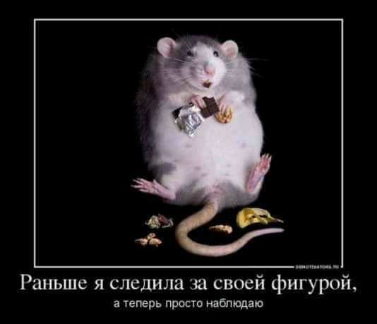 Раньше я следила за своей фигурой я теперь прппо набпкщаю