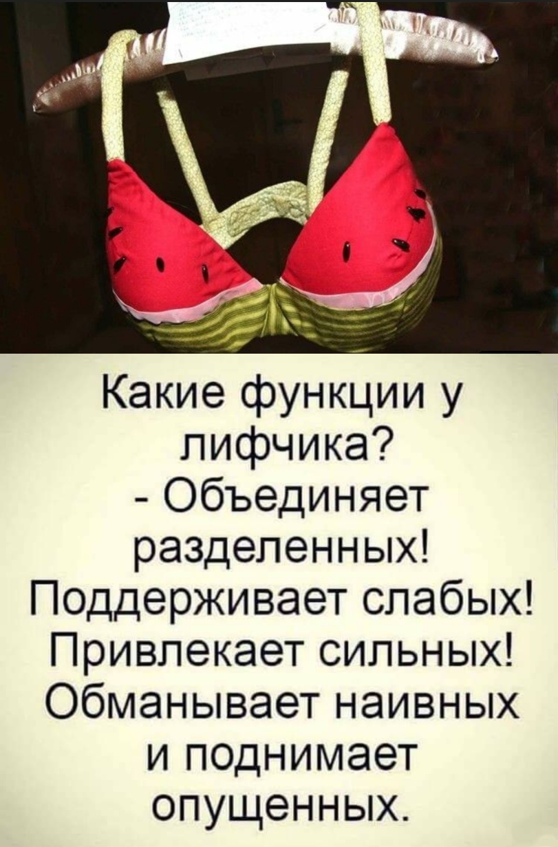 лифчика Объединяет разделенных Поддерживает слабых Привлекает сильных Обманывает наивных и поднимает опущенных