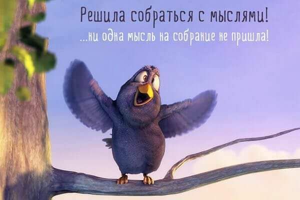 Решила собраться с мыслямиі