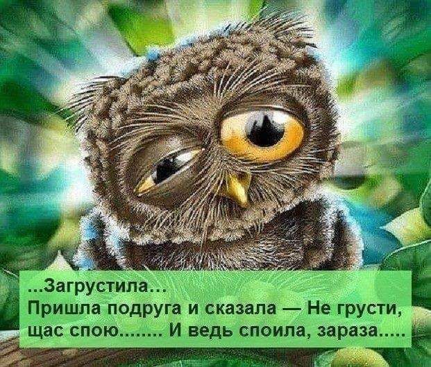 Загрустила Пришла подруга и сказала Не грусти щас СПОЮ И ведь споила зараза