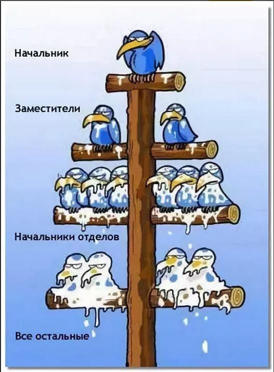 Начальник Заместители _ _