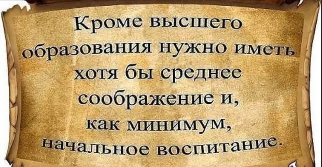 Кроме высшего д образования нужно иметЁ д7 хотя бы среднее соображение и как МИНИМУМэ