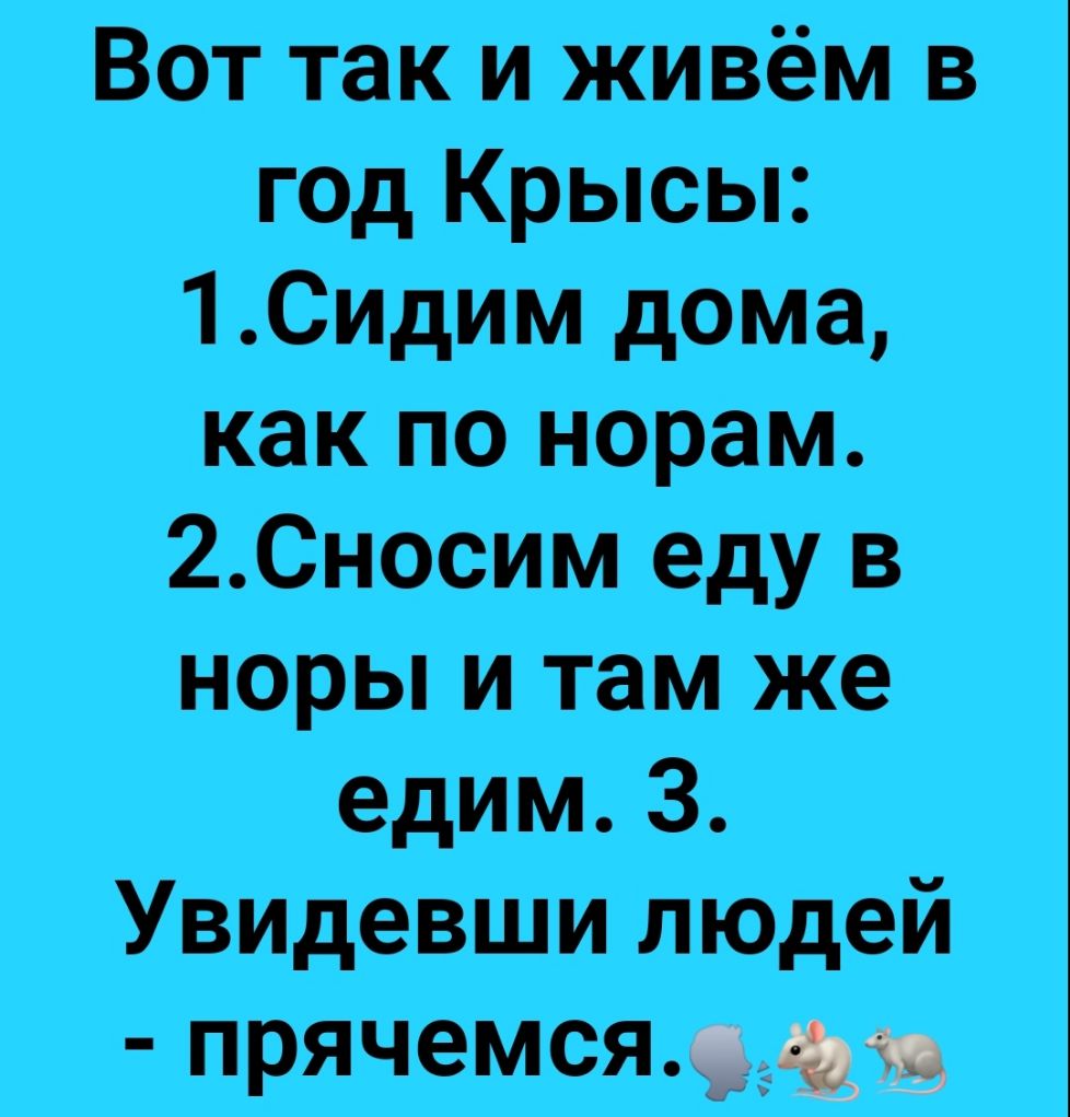 Вот так и живём в гад Крысы 1_Сидим дома как по норам 2Сносим еду в норы и там же едим З Увидевши ЛЮдеЙ прячемся