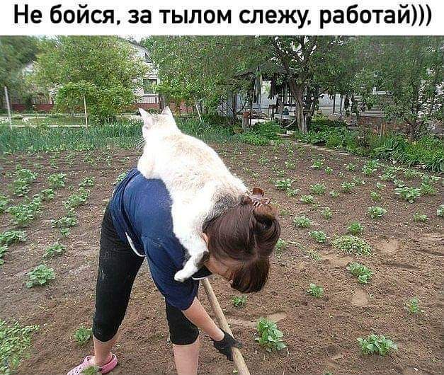 Не бойся за тылом слежу рабо