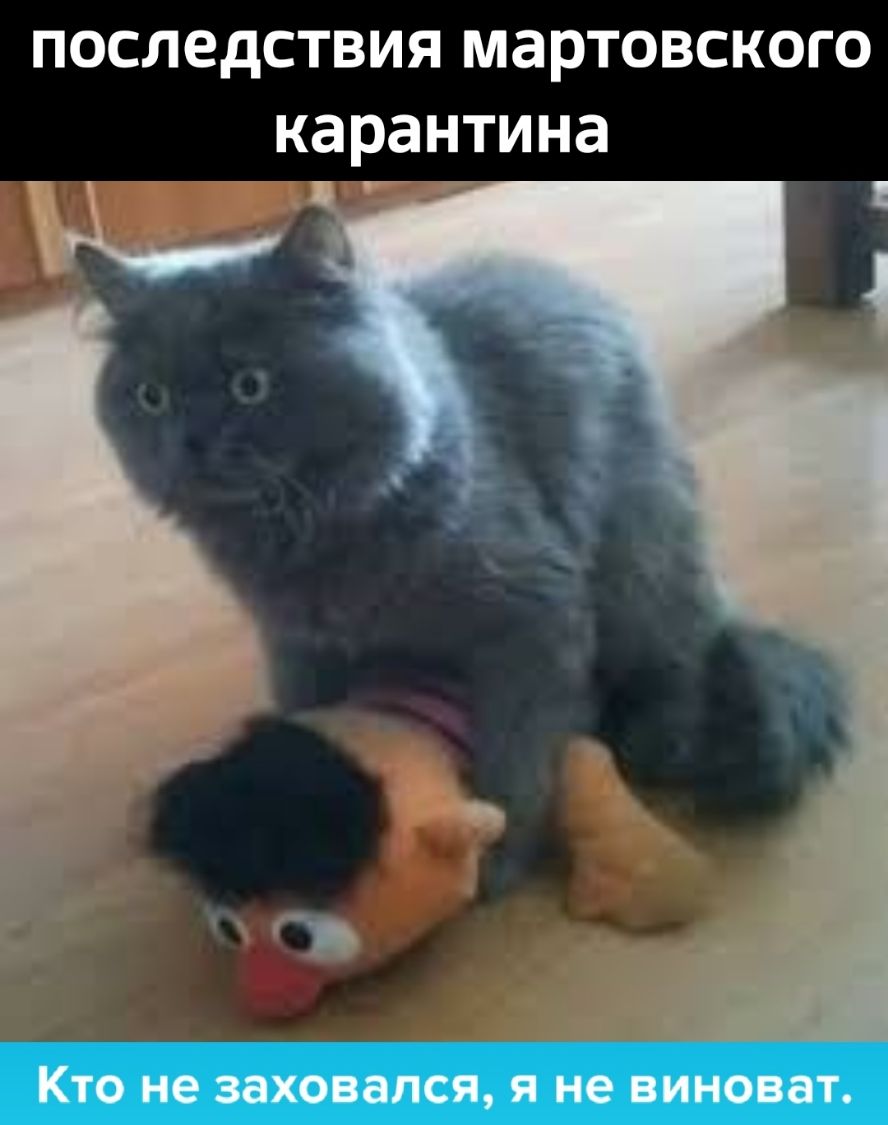 ПОСЛЭДСТВИЯ МЗРТОВСКОГО карантина Ё 1