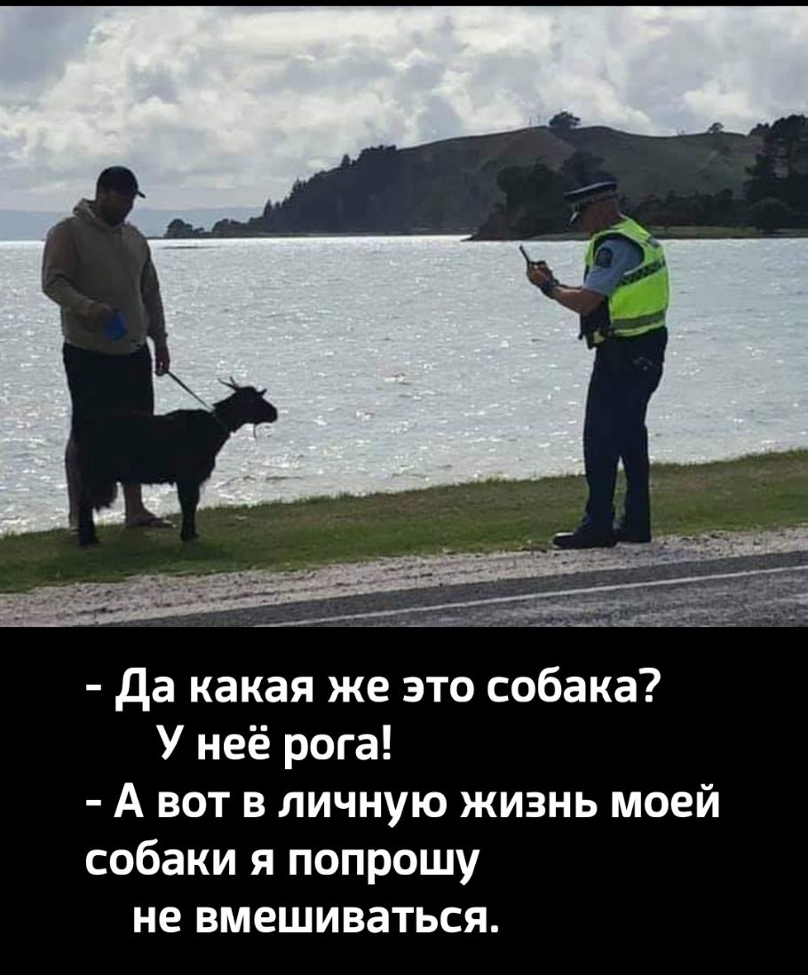 да какая же это собака У неё рога А вот в личную жизнь моей собаки я попрошу не вмешиваться
