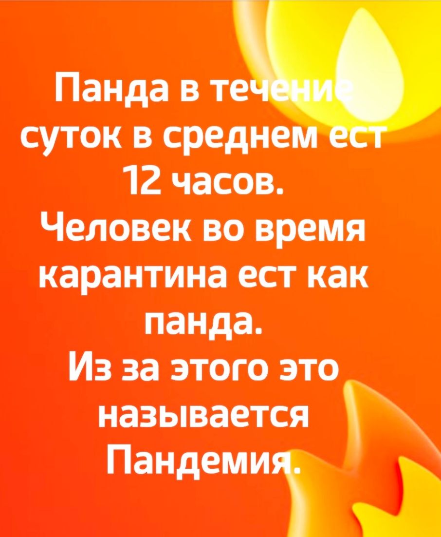 сутоквсредн А 12 часов Человек во время карантина ест как панда Из за этого это называется Пандеиш