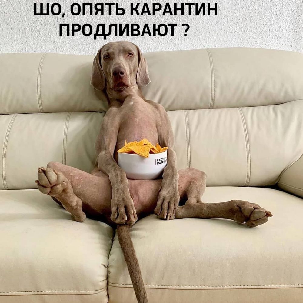 _ ШО0ПЯТЬ КАРАНТИН ПРОДЛИВАЮТ