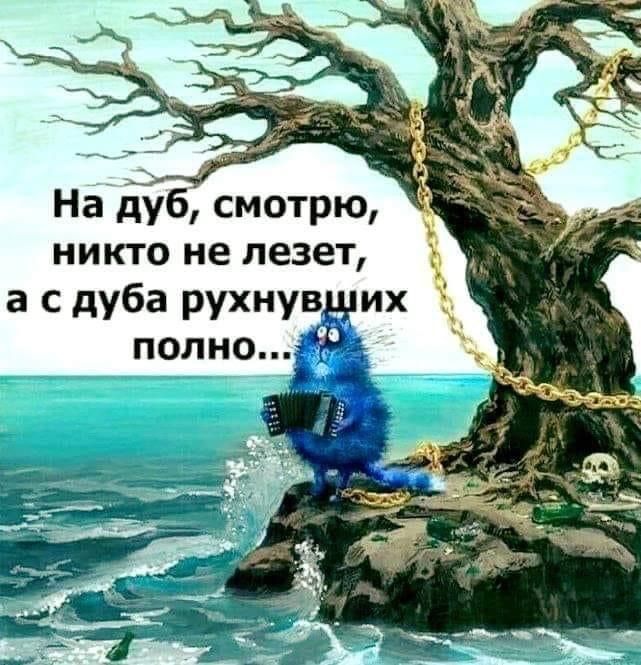 НадЗб смотрю никто не лезет а с дуба рухнув