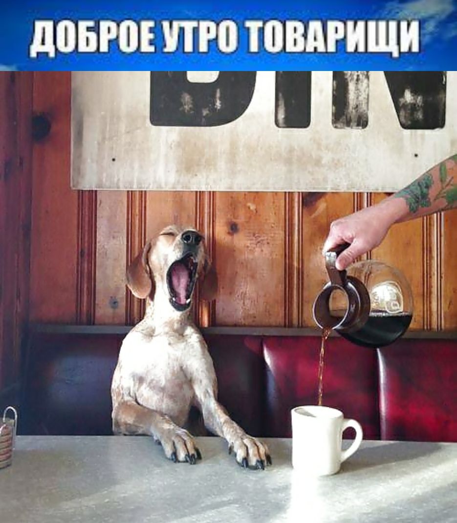 чд д0іР0Е ПРП ШВАРАЩА