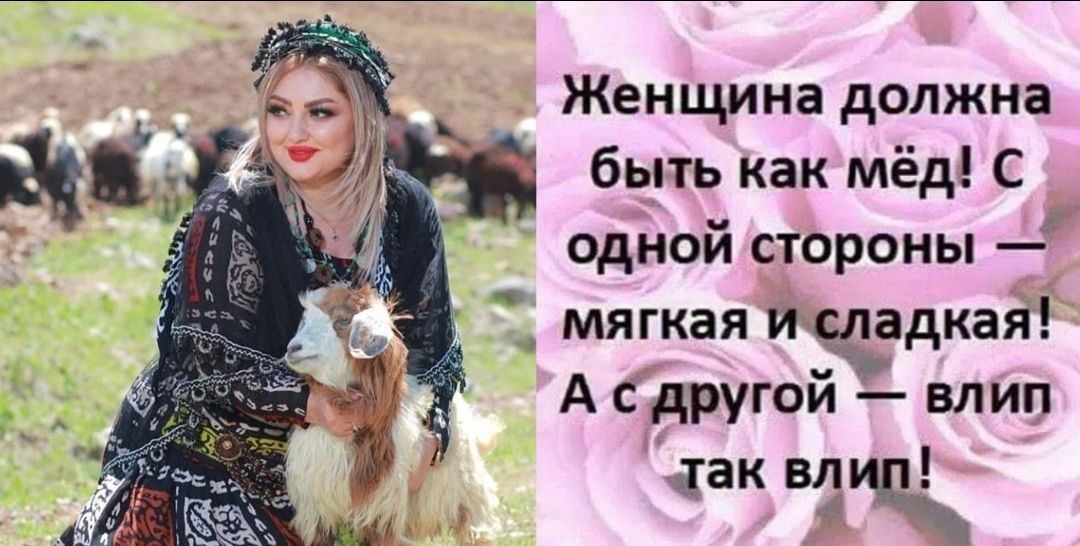 Женщина должна быть как мёд С одной стороны _ к мягкая иоладкая а А с другои влип хак вещ
