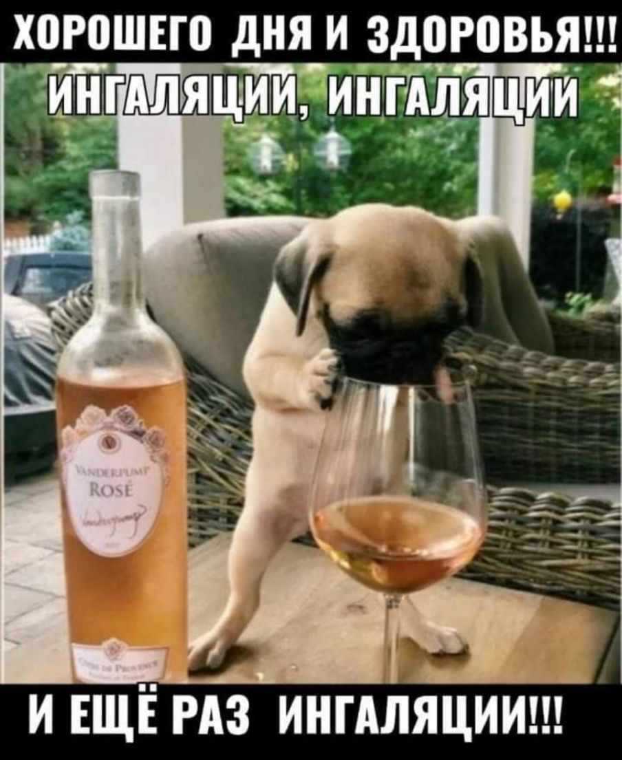 ХПРПШЕГП дНЯ И Здоговьяш и ЕЩЁ гдз тпгдтіцийш