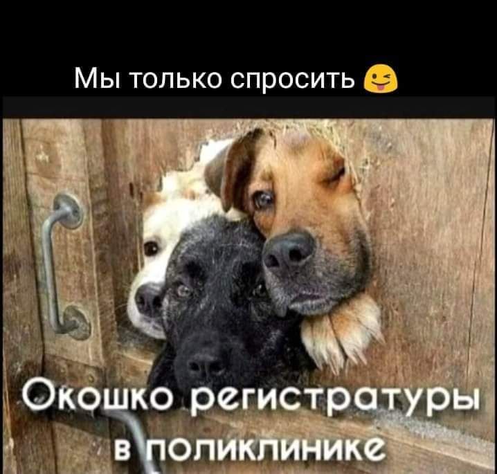 Мы только спросить