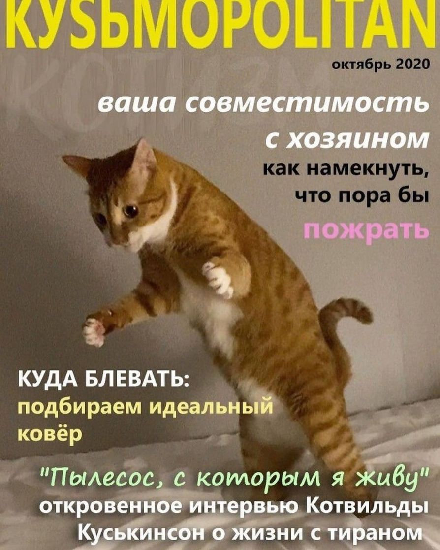 октябрь 2020 как намекнуть что пора бы