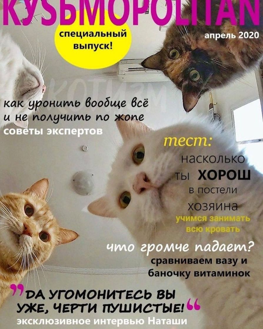 КЖЬЬМШЮ специальный выпуск как уронить Вообще бсё ычне получите на рпг сравншаём вазу и баночйу витамин док и угомонитвсь вы А уже чти пушистыы