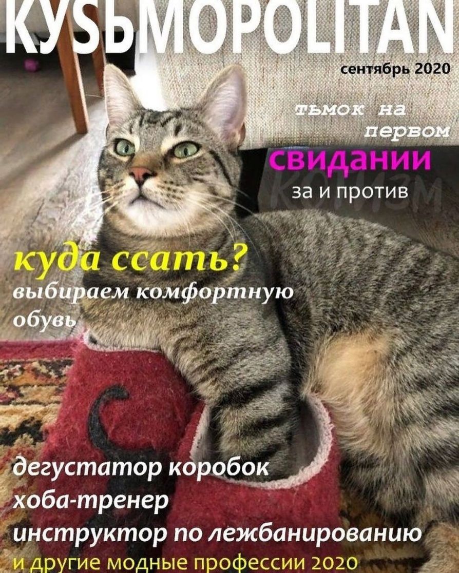 ёЁИдании за и против ё хоба тренер инструктор по лежбанированию ддоугие модные пзофессиу 2020 д