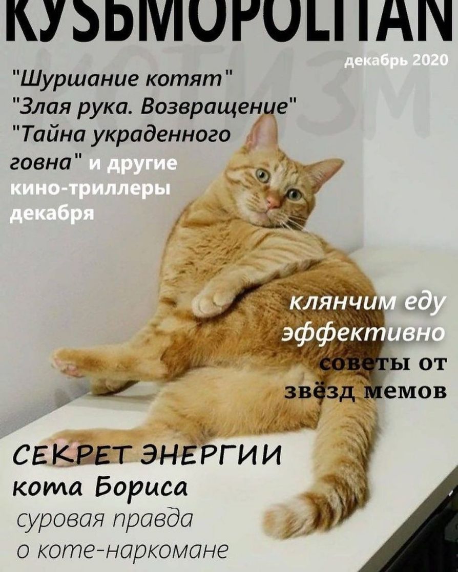 КУЬЬМЧРОЦ А Шуршание котят Злая рука Возвращение Тайна украденного і говна кота Бориса суровая правда о котеноркомоне