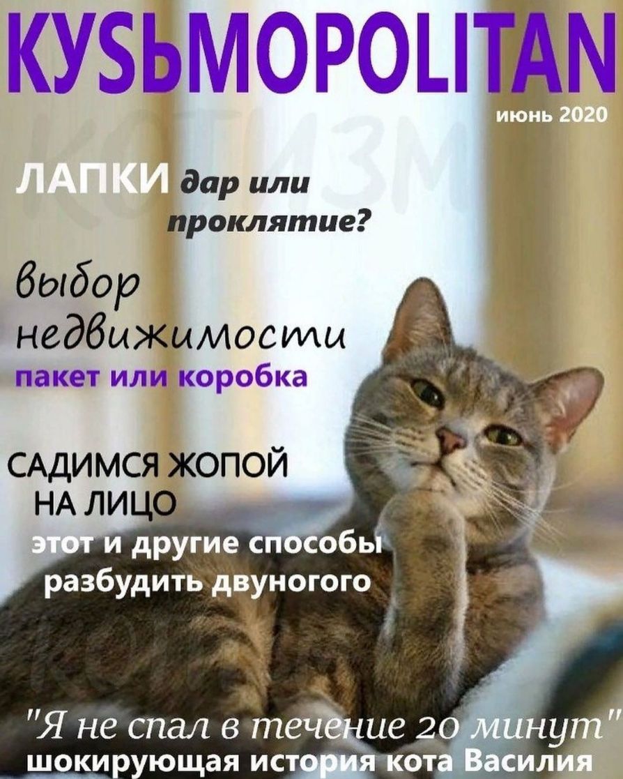 кузьморощдм дар или проклятие выбор недбыжымосты пакет или коробка