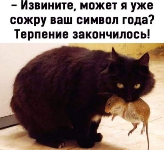 звините может я уже сожру ваш символ года Терпение закончилось