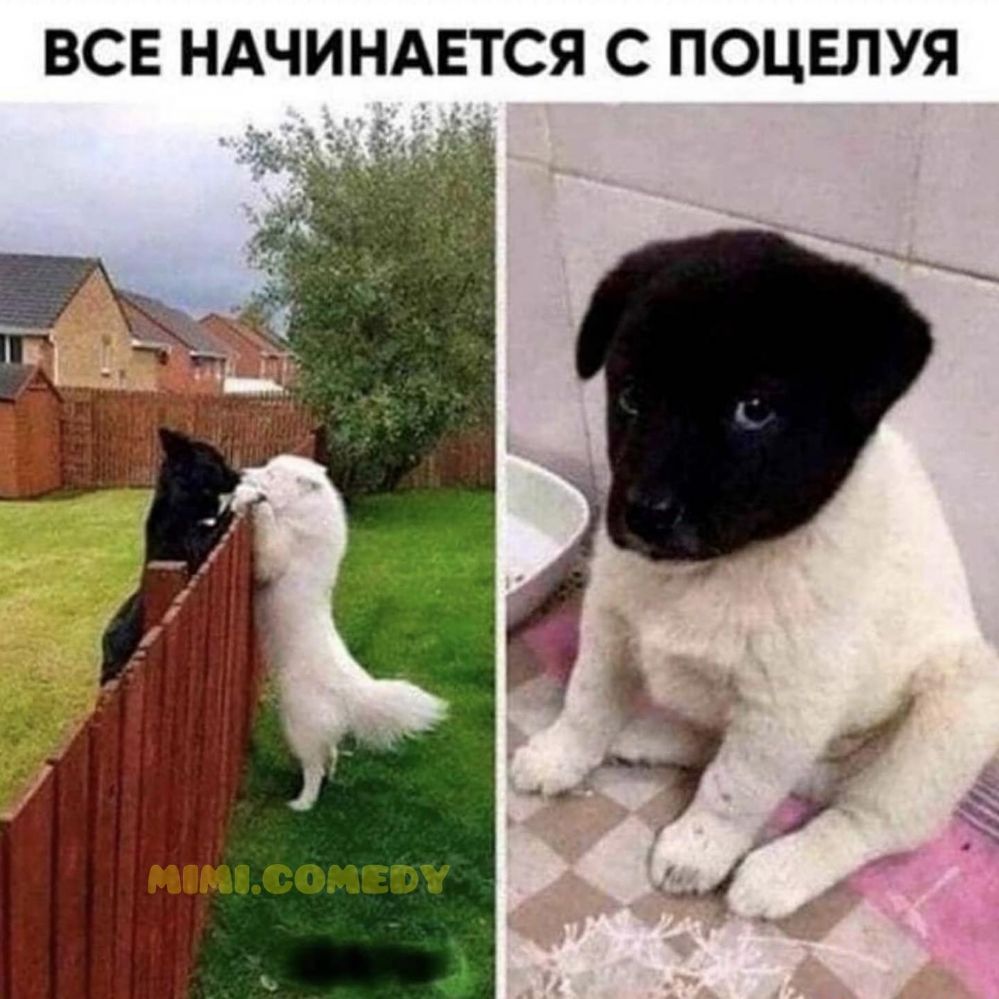 ВСЕ НАЧИНАЕТСЯ С ПОЦЕЛУЯ