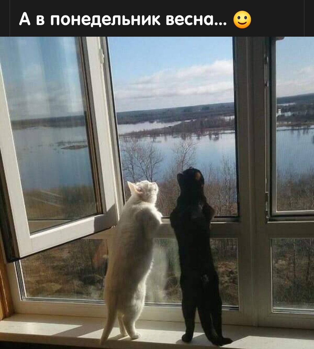 А в понедельник весна