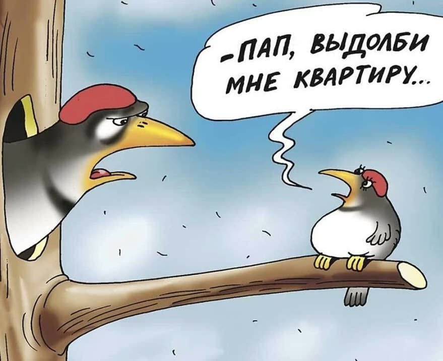 пдд вьщолви миг кипит
