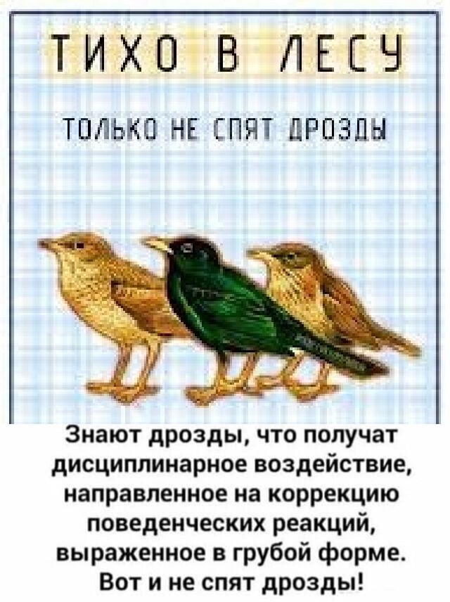 ТИХПВ ЛЕЕЧ ТПЛЬНП НЕ ЕПНТ дРПЗПН Знают дрозды что получат дисциплинарное воздействие направленное на коррекцию поведенческих реакций выраженное в грубой форме Вот и не спят дрозды