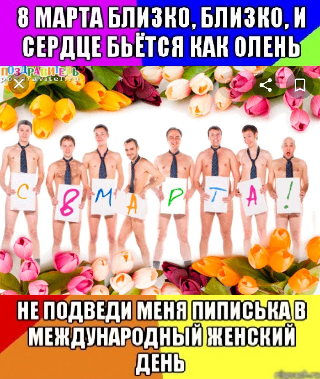 ШЛШ Емнпдчндгодныи