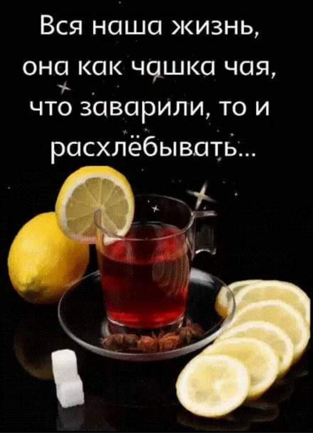 Вся наша жизнь она как чашка чая что заверили то и расхйёбывптб